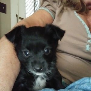 Meet your Posher, Belinda